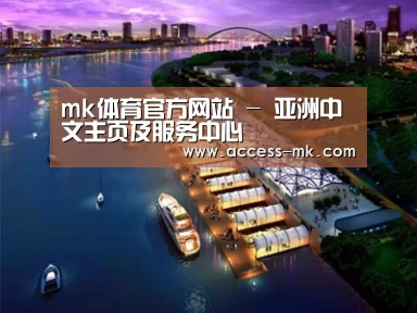 案例展示八