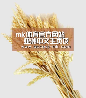mk体育官方网站 - 亚洲中文主页及服务中心