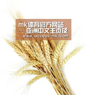 mk体育官方网站 - 亚洲中文主页及服务中心