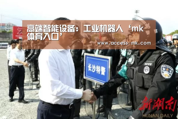 高端智能设备:工业机器人‘mk体育入口’(图1) mk体育下载