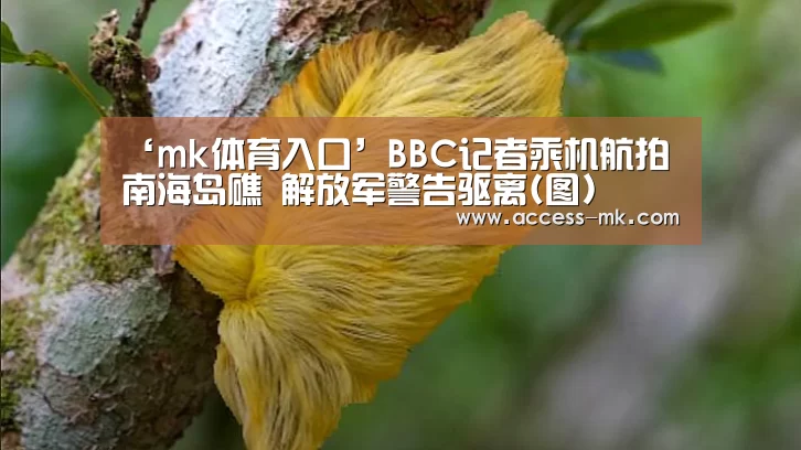 mk体育