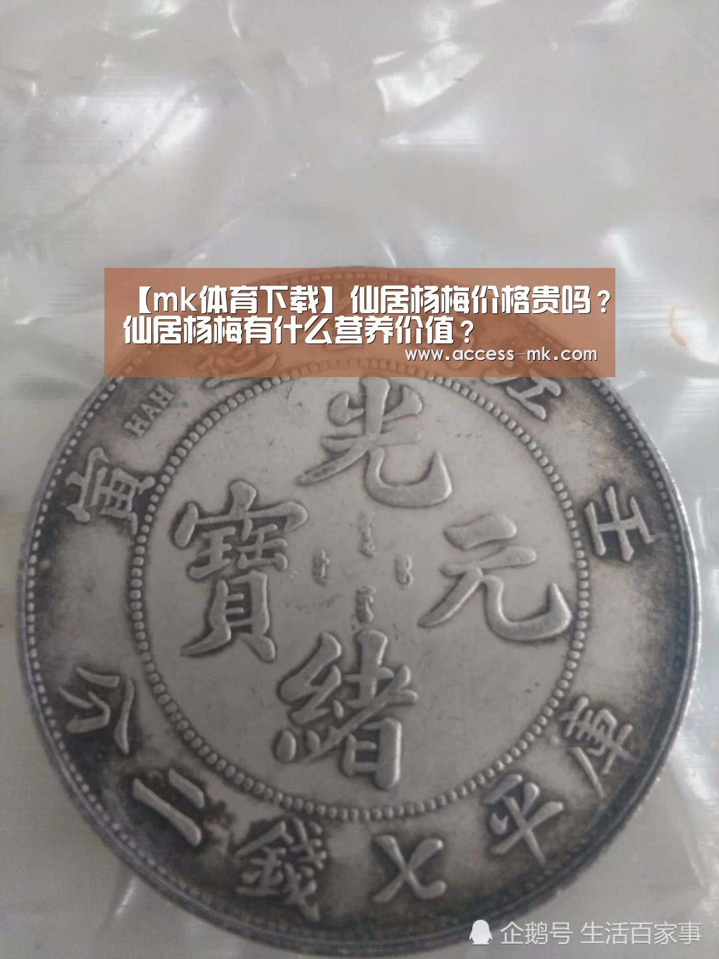 mk体育