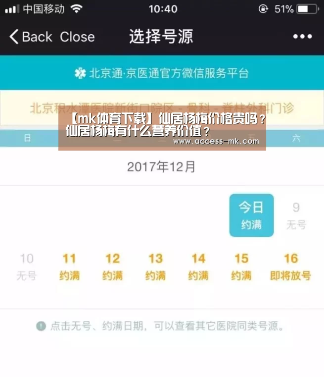 mk体育入口