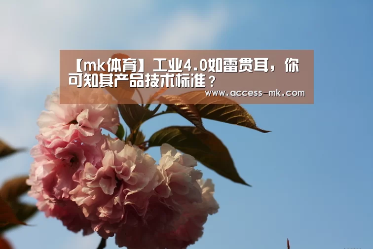 mk体育入口