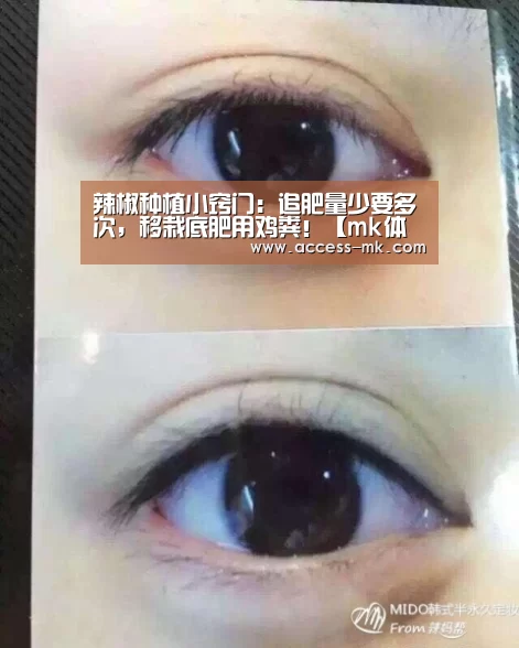 辣椒种植小窍门:追肥量少要多次,移栽底肥用鸡粪!【mk体育官方】(图1) mk体育下载