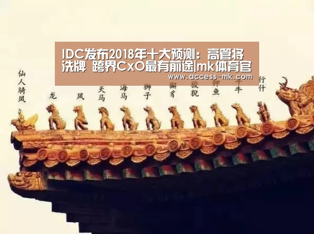 mk体育入口