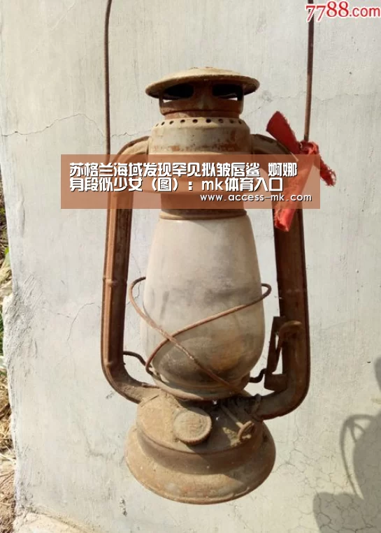 mk体育官方