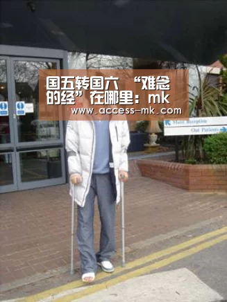 mk体育