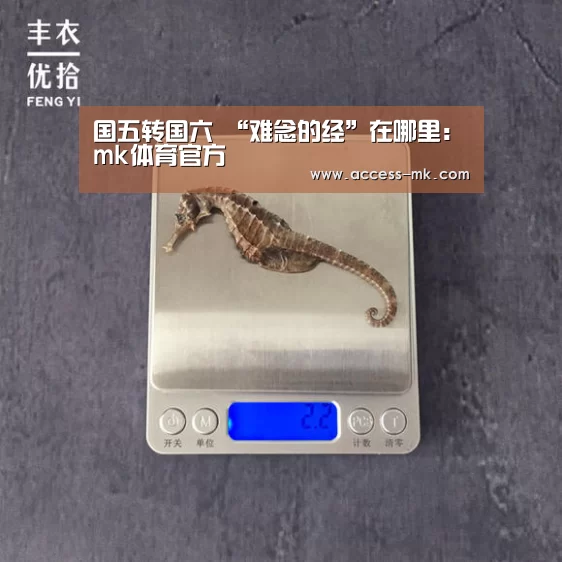 mk体育