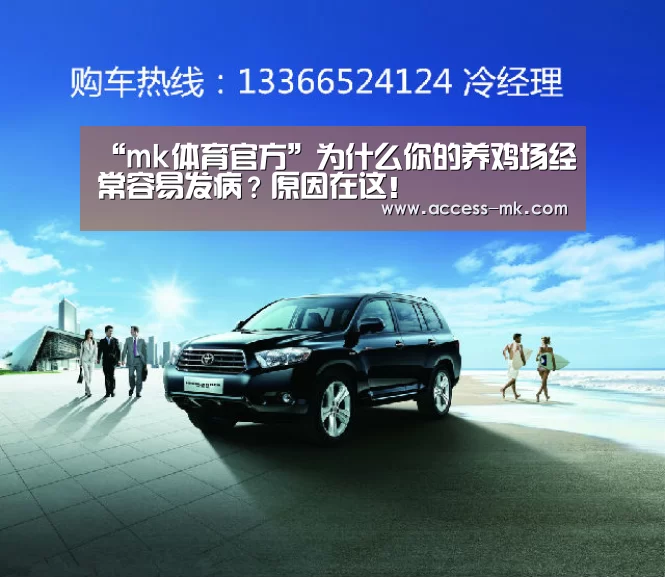 mk体育官方