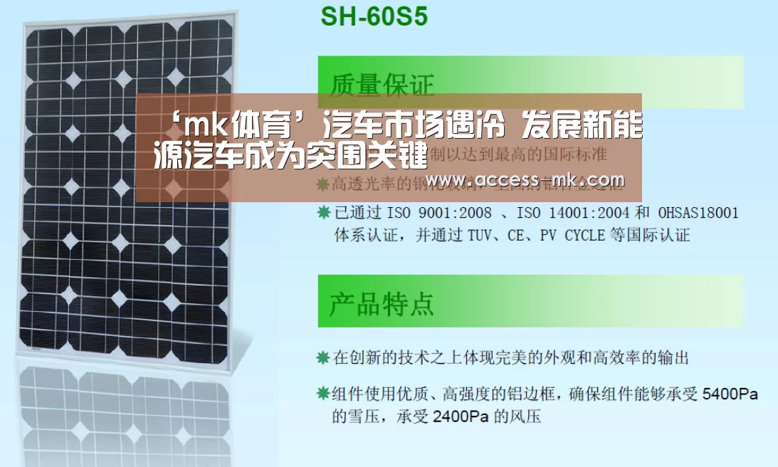 ‘mk体育’汽车市场遇冷 发展新能源汽车成为突围关键(图4) mk体育入口