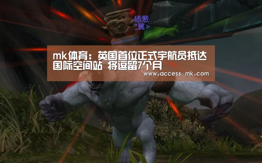 mk体育入口