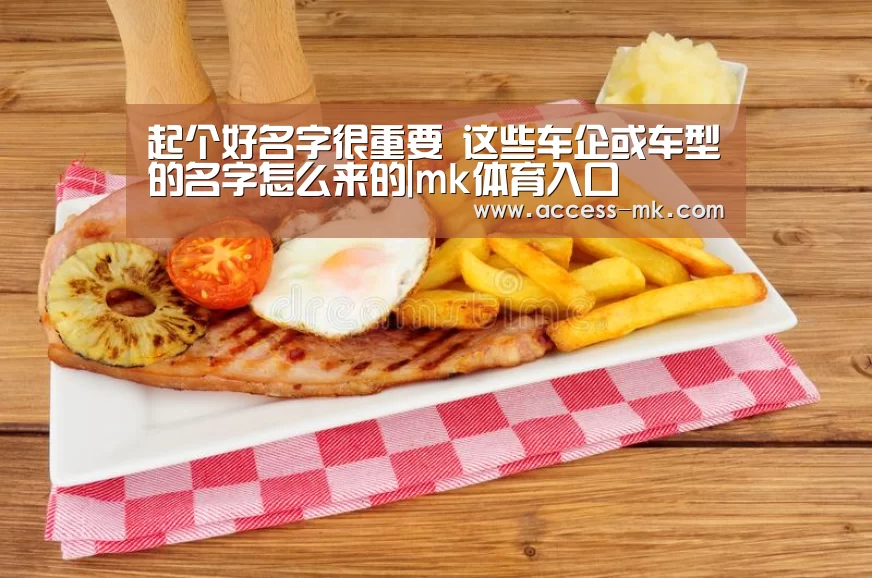 起个好名字很重要 这些车企或车型的名字怎么来的|mk体育入口(图2) mk体育入口