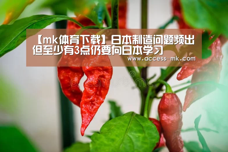 【mk体育下载】日本制造问题频出 但至少有3点仍要向日本学习(图3) mk体育下载