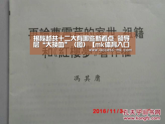 揭秘越共十二大有哪些新看点 领导层“大换血”(图)【mk体育入口】(图2) mk体育下载