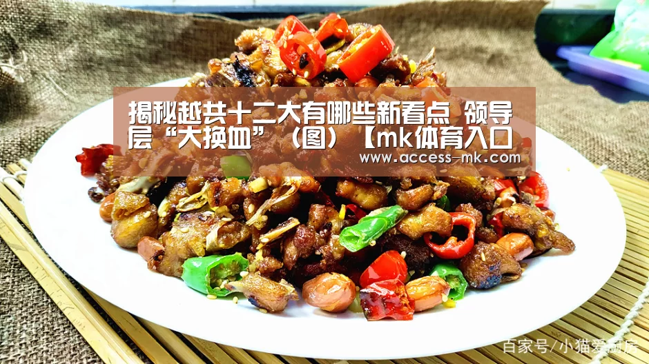揭秘越共十二大有哪些新看点 领导层“大换血”(图)【mk体育入口】(图3) mk体育