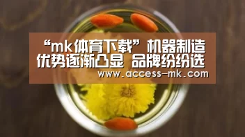 mk体育入口