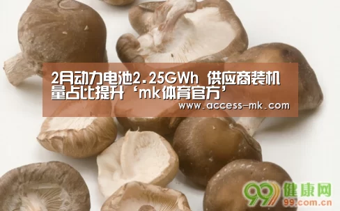 mk体育入口