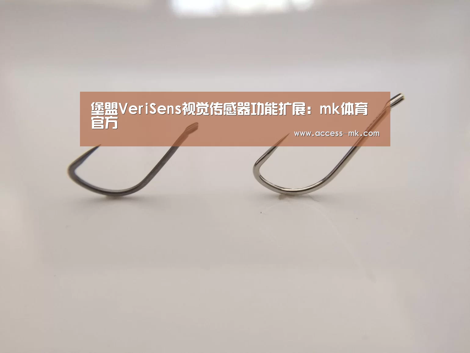 堡盟VeriSens视觉传感器功能扩展:mk体育官方(图2) mk体育入口