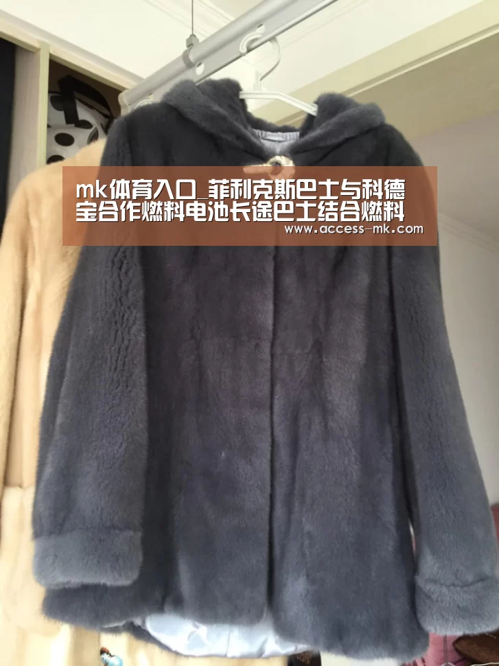 mk体育入口_菲利克斯巴士与科德宝合作燃料电池长途巴士结合燃料电池与电池(图3) mk体育入口