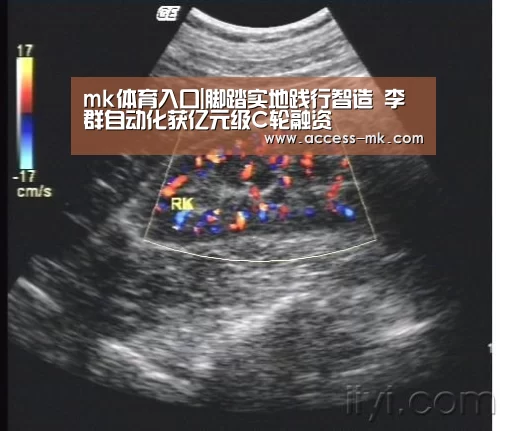 mk体育入口|脚踏实地践行智造 李群自动化获亿元级C轮融资(图1) mk体育入口