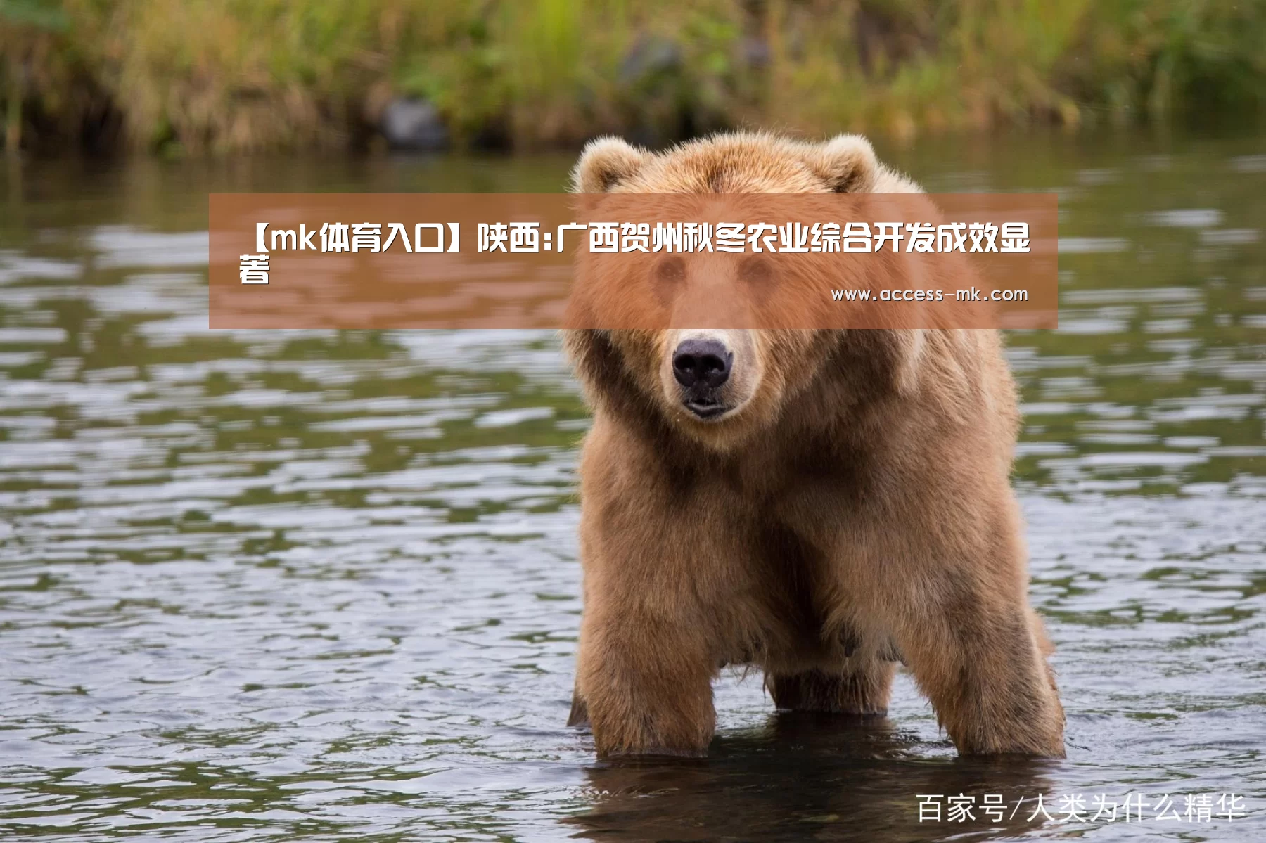 【mk体育入口】陕西:广西贺州秋冬农业综合开发成效显著(图2) mk体育官方