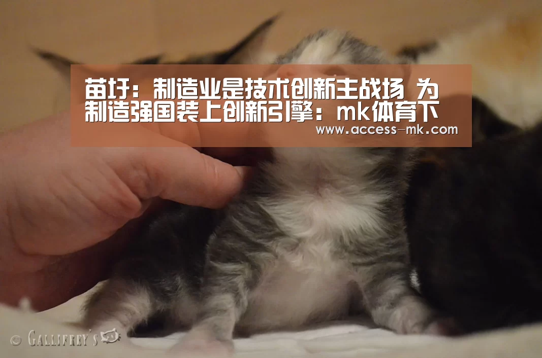 苗圩:制造业是技术创新主战场 为制造强国装上创新引擎:mk体育下载(图1) mk体育