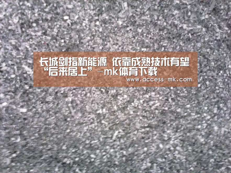长城剑指新能源 依靠成熟技术有望“后来居上”-mk体育下载(图3) mk体育官方