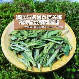 减压与资金双倍关怀 福特做经销商最坚强的后盾|mk体育(图2) mk体育